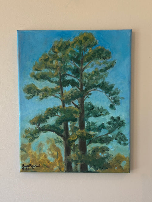 Georgia Pines, 11” x 14” Oil on Canvas