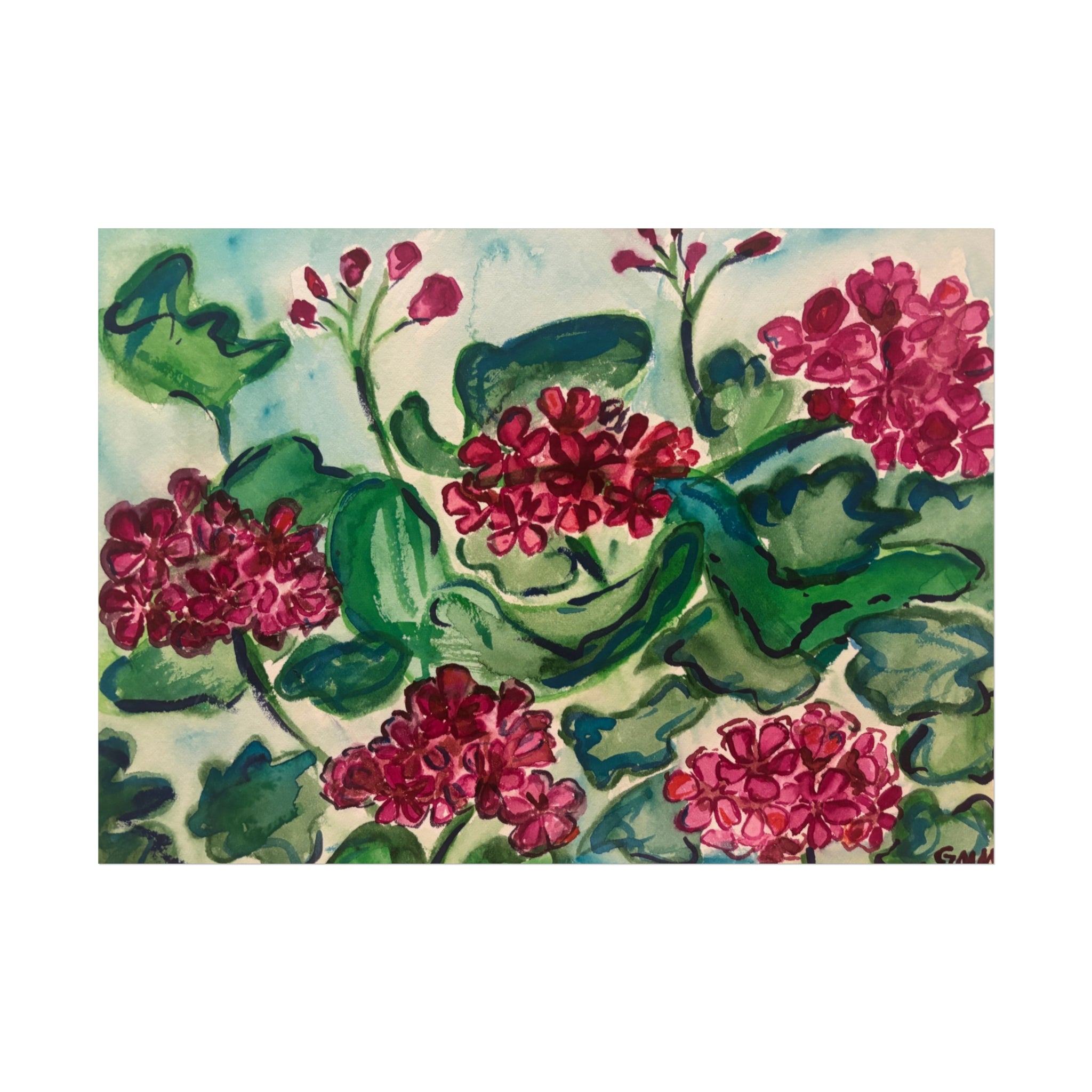 Pink Geranium Fine Art Print