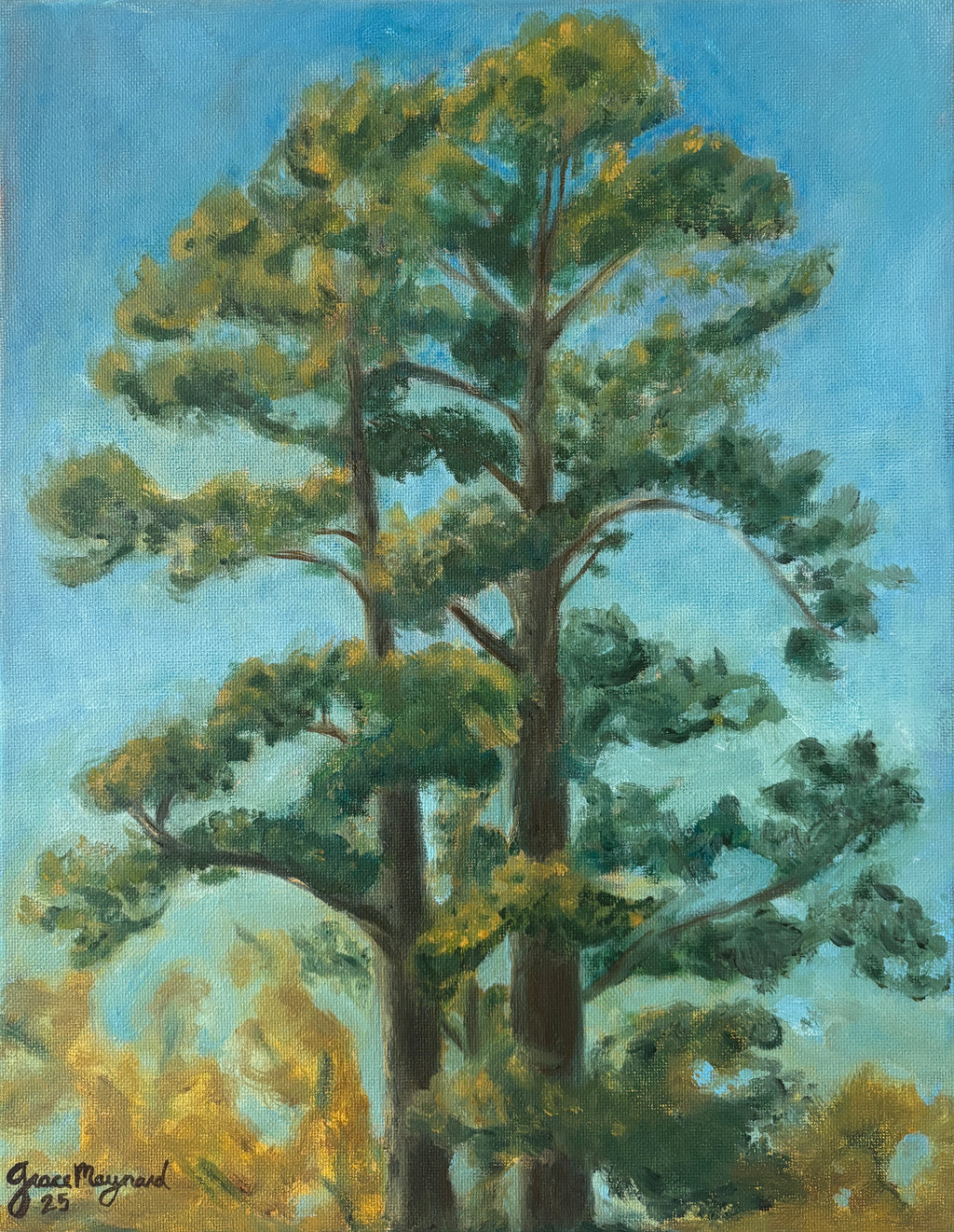 Georgia Pines, 11” x 14” Oil on Canvas
