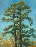 Georgia Pines, 11” x 14” Oil on Canvas